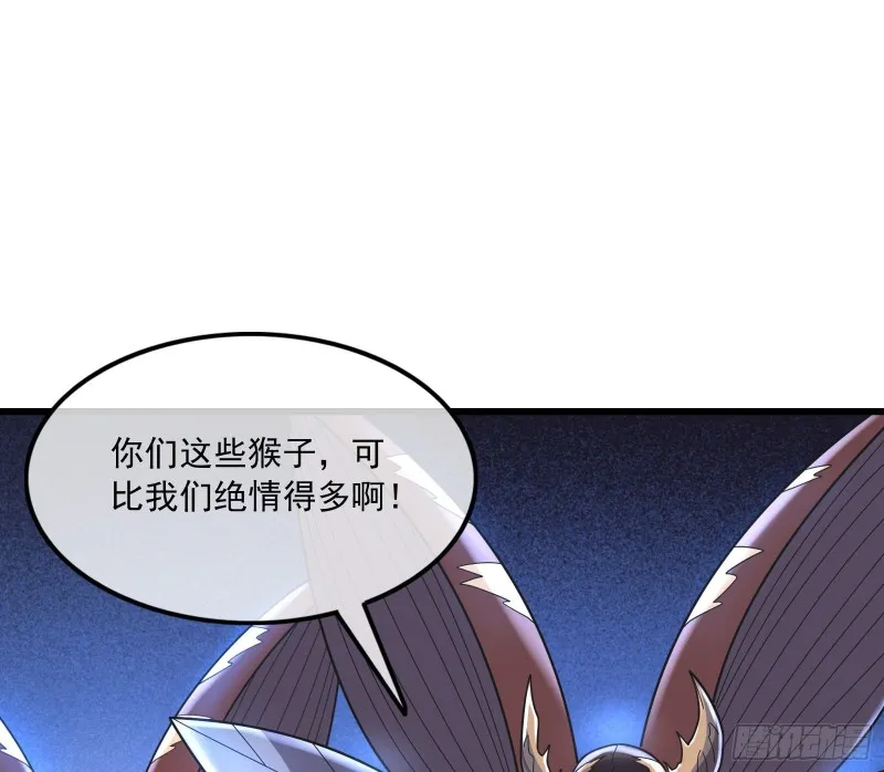 无涯界的土著 第44页