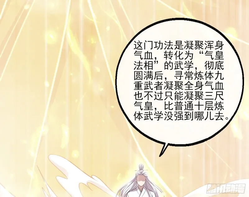 气皇法相 第133页