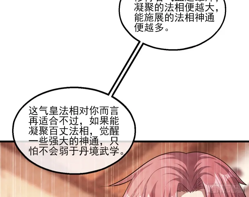 气皇法相 第135页