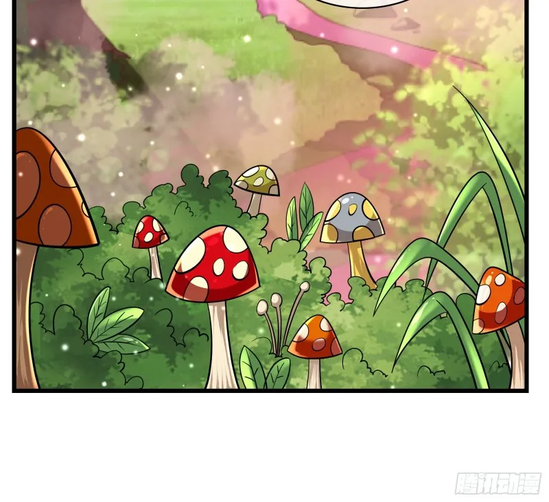 关公面前耍大刀 第5页