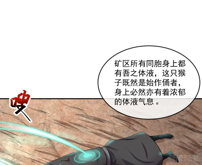 死道友不死贫道 第19页