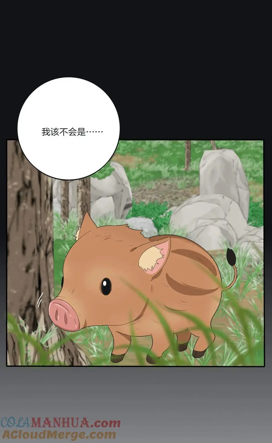 177 不平静的夜 第13页