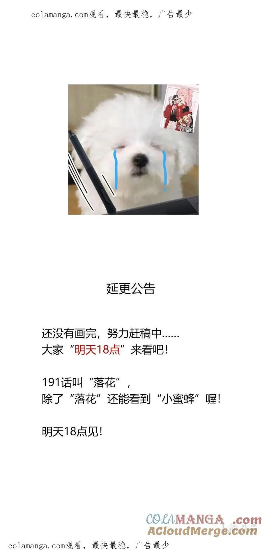 公告 明天（周日）18点更新 第1页
