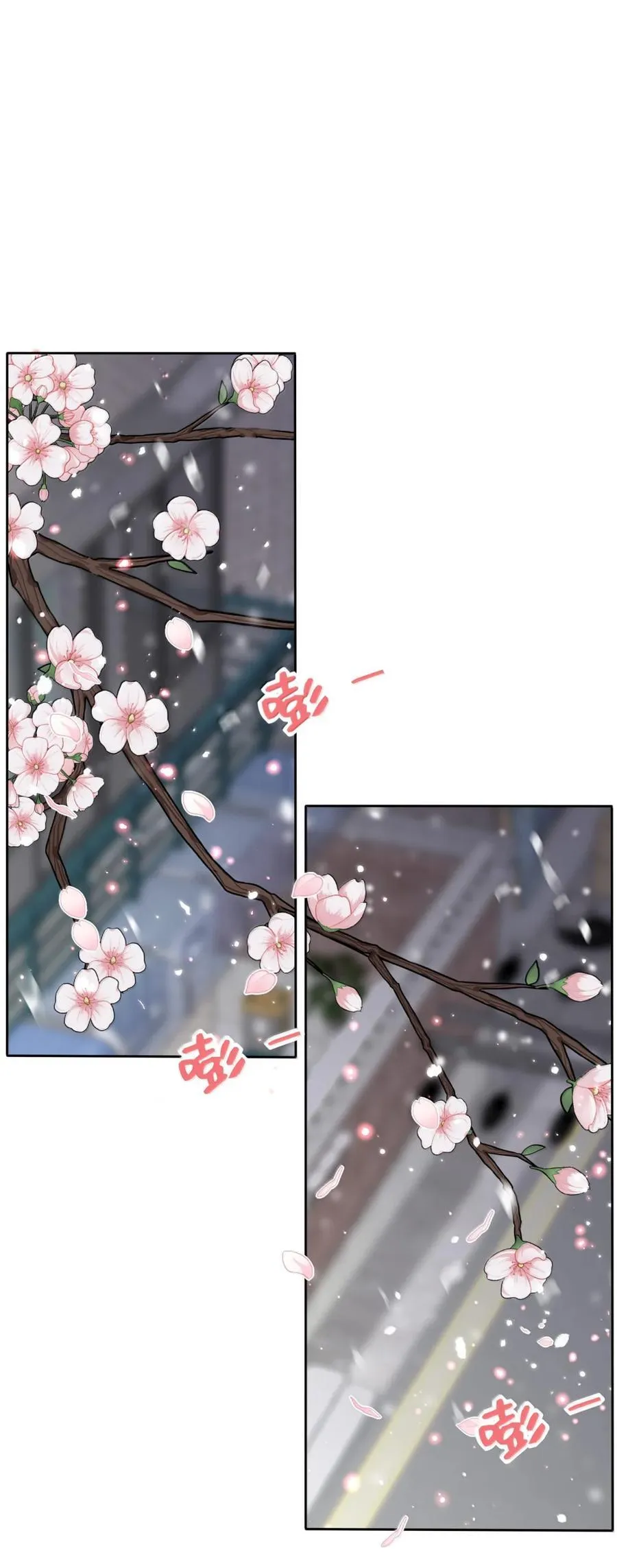 215 直接 第11页