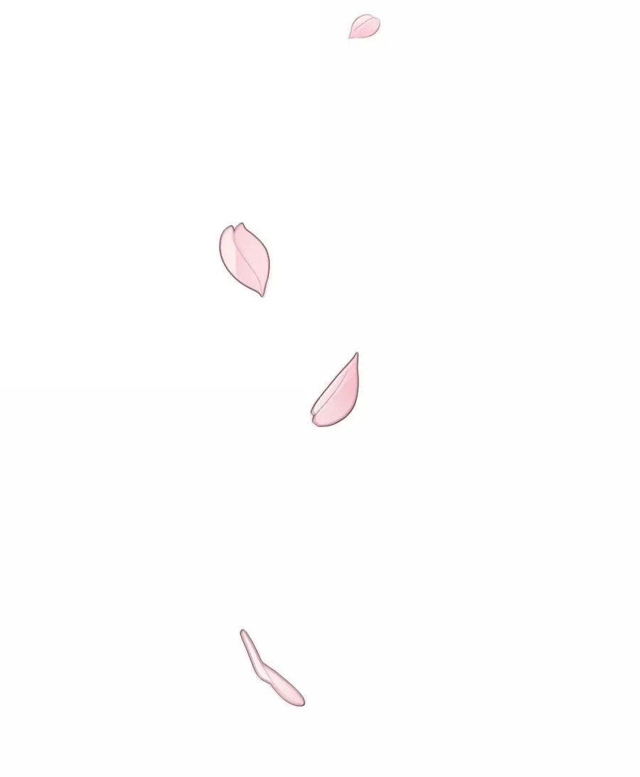 215 直接 第12页