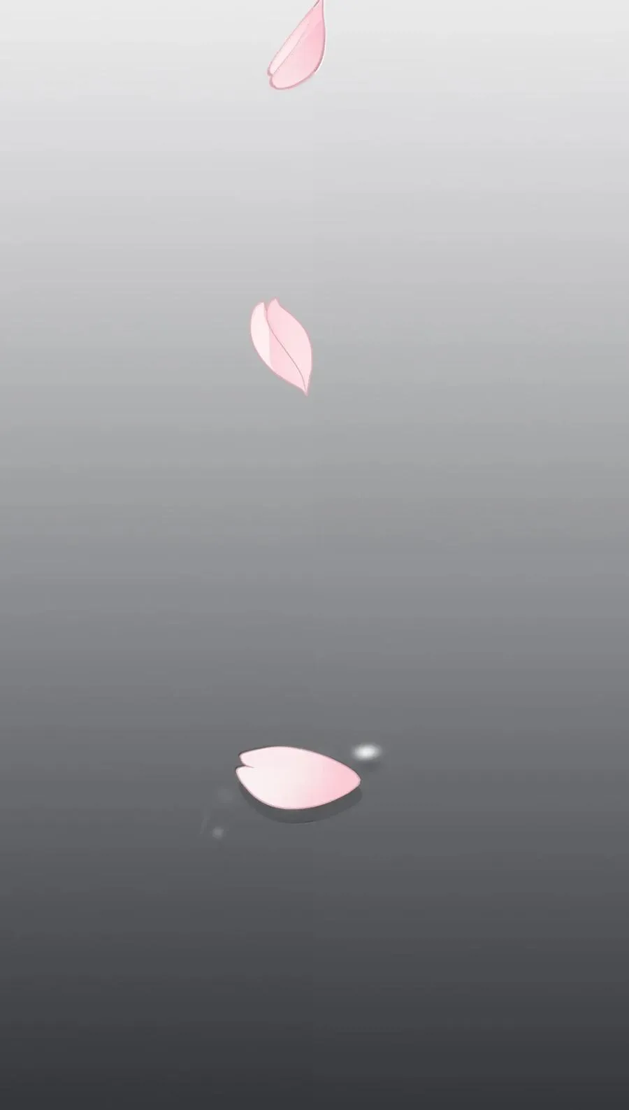 215 直接 第21页