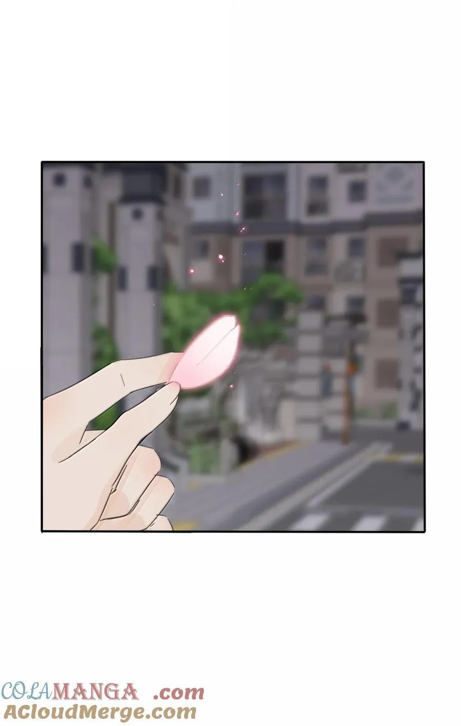 223 另一种“解”（评论抽锦溪公主抱立牌） 第13页