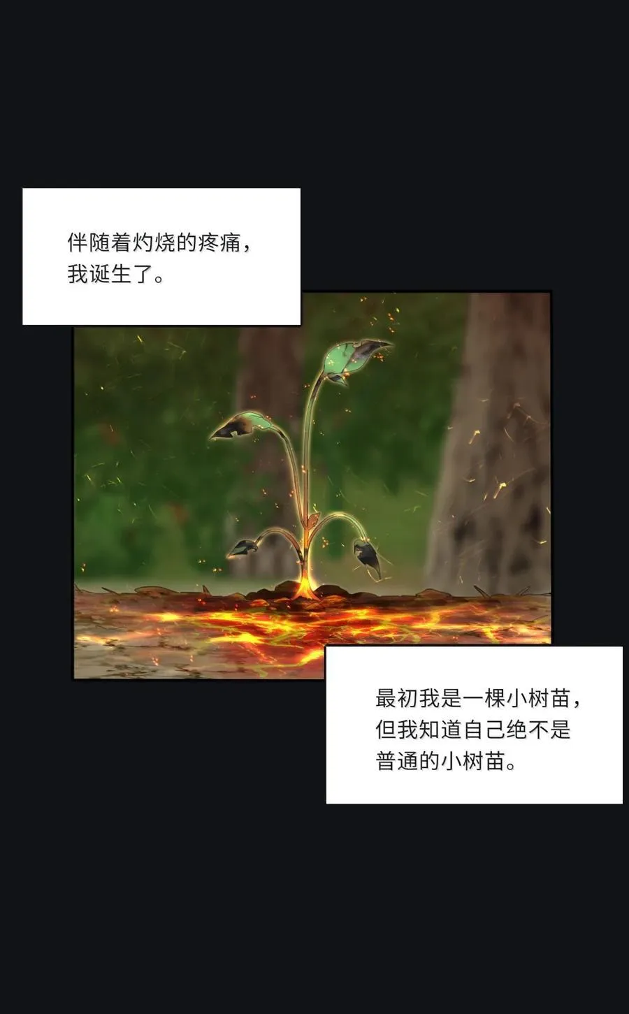 225 赢的关键（评论抽烟火系列明信片） 第6页