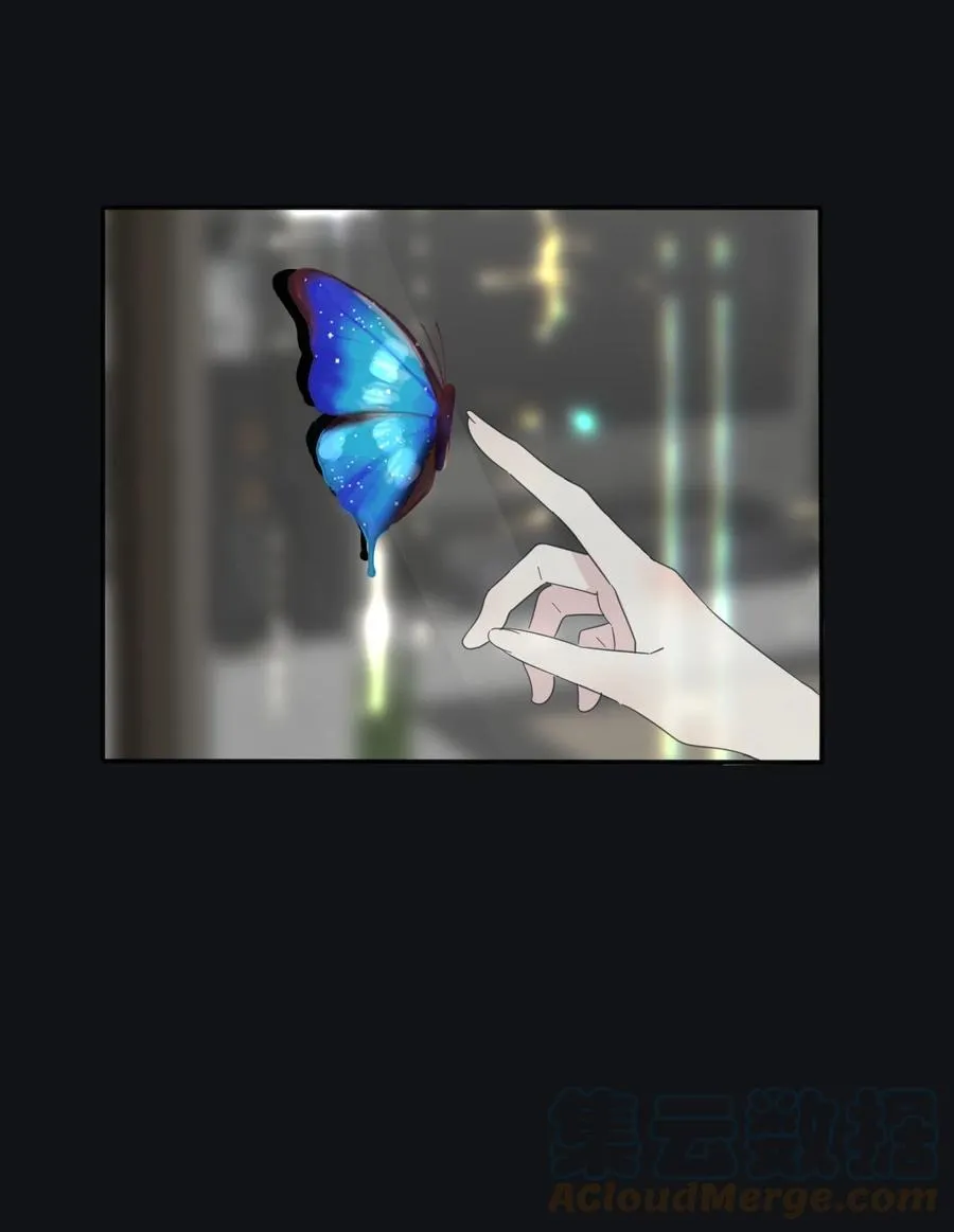 116 蝶 第16页