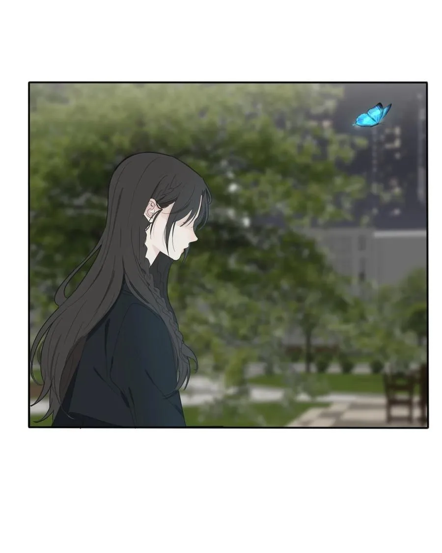 116 蝶 第42页