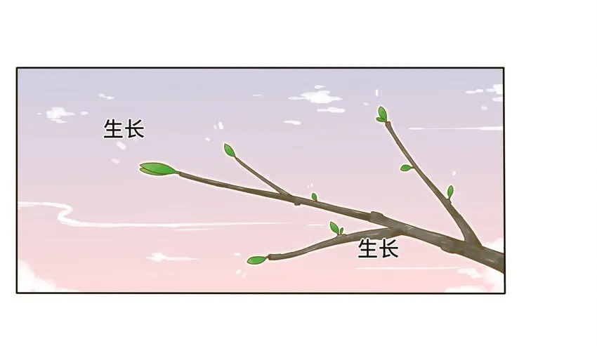 002 仙女也是要吃饭的 第49页