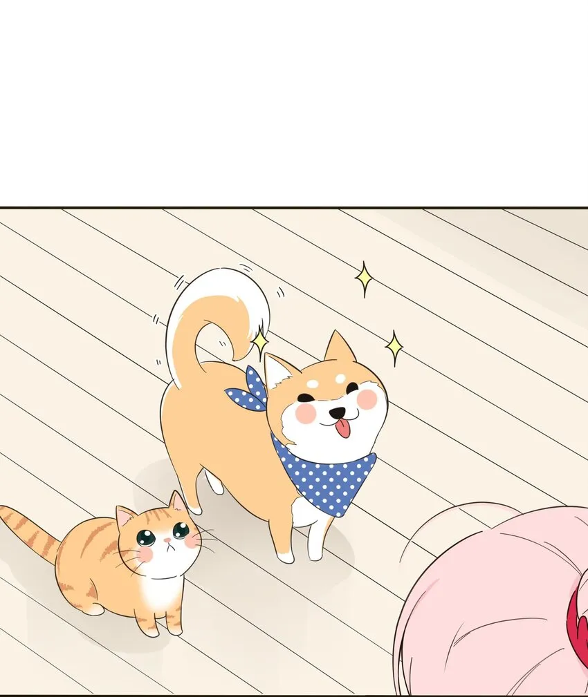 005 预谋 第8页