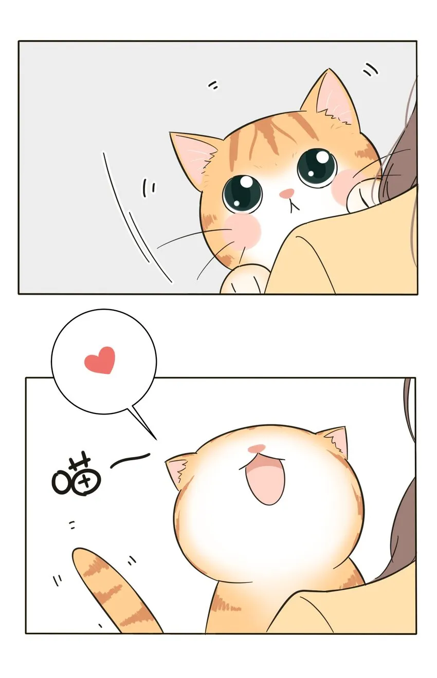 005 预谋 第11页