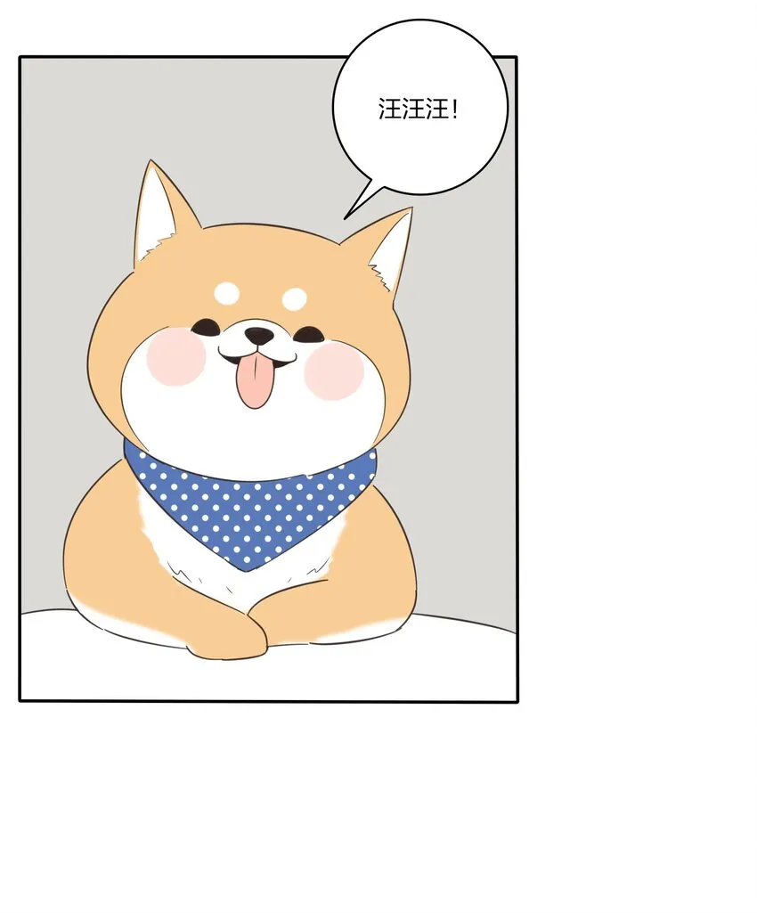 017 紧张 第26页