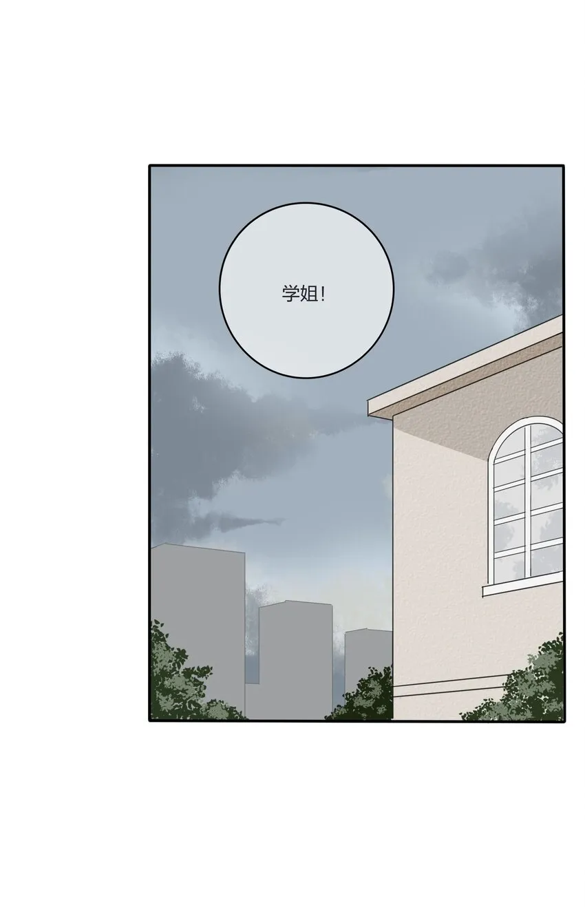 026 如果我可以 第14页