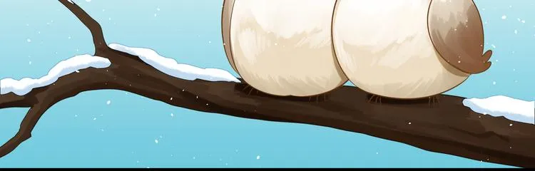 第35话 怕冷但武力超群 第26页