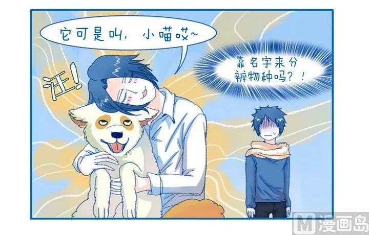 第98话 小喵是只狗 第4页