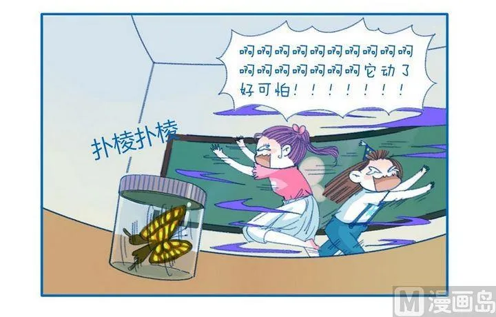 第100话 可怕的蝴蝶 第2页