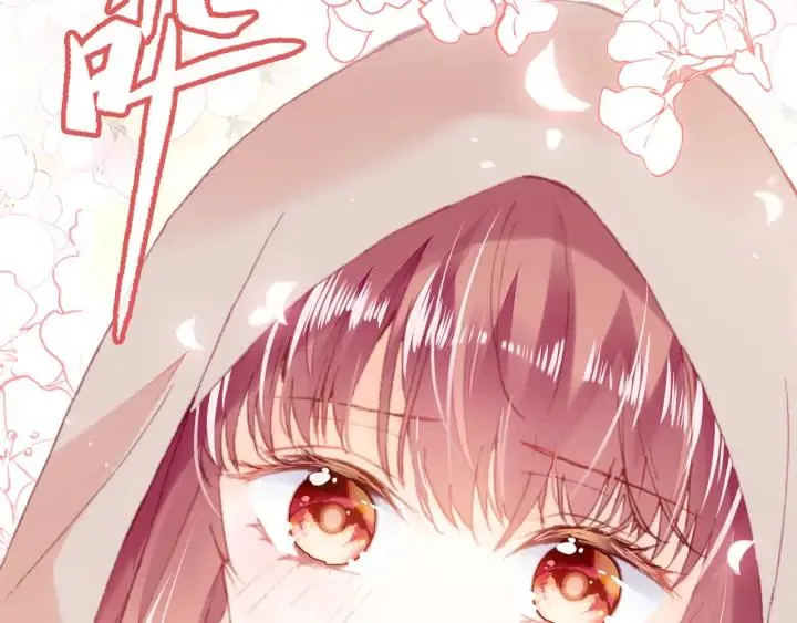 第40话 朝凤 第51页