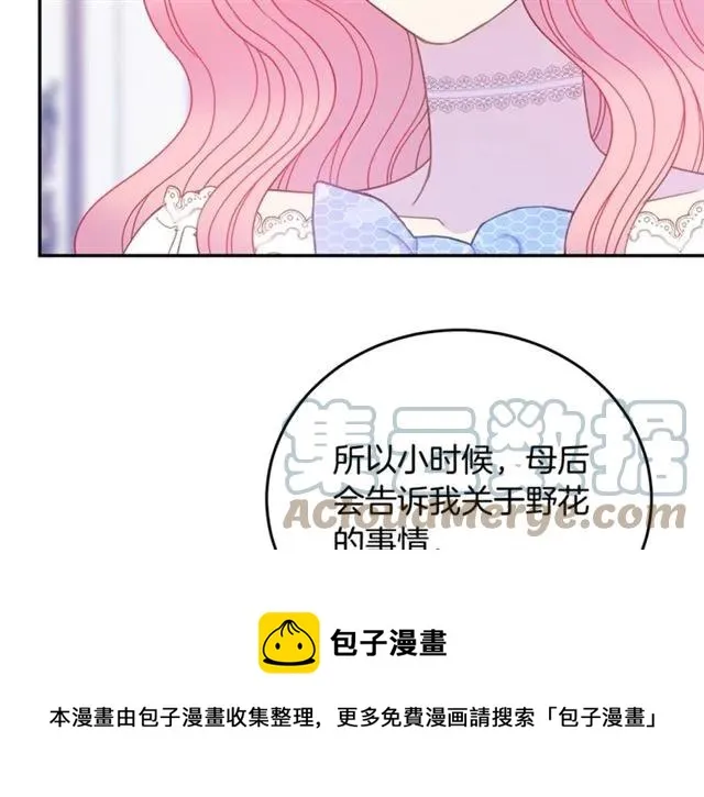第31话 圣国魔法师 第53页