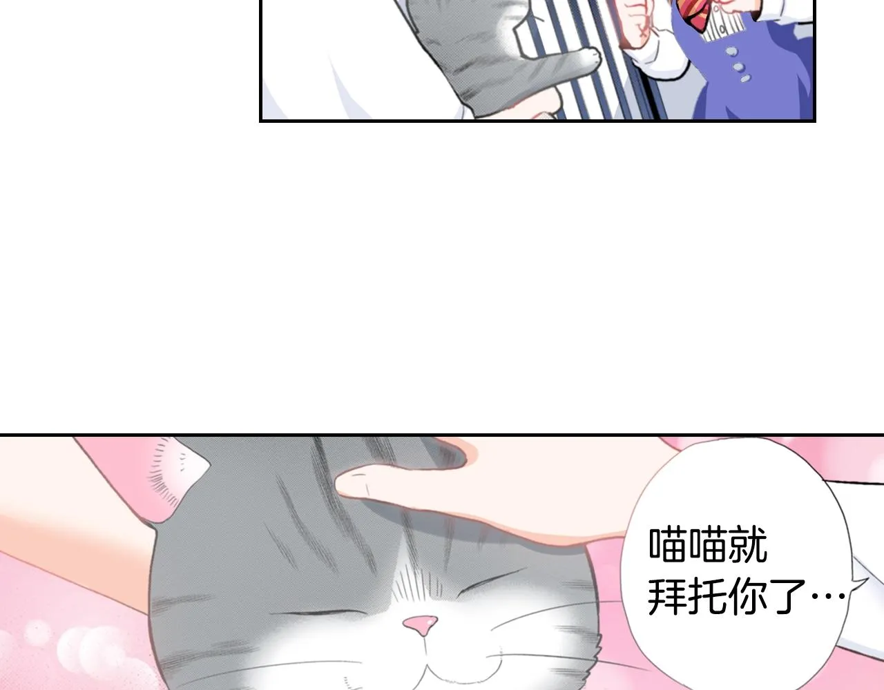 第15话 小叶又出现了 第12页