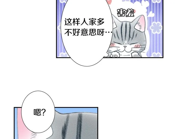 喵呜番外—自拍杀手 第37页