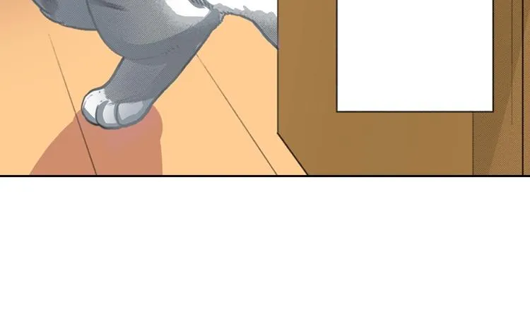 第13话 吸猫体质的大汉 第8页