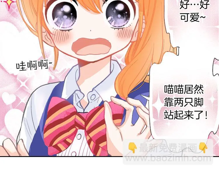 第13话 吸猫体质的大汉 第10页