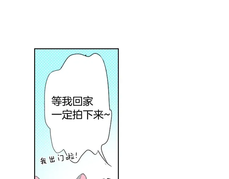 第13话 吸猫体质的大汉 第11页