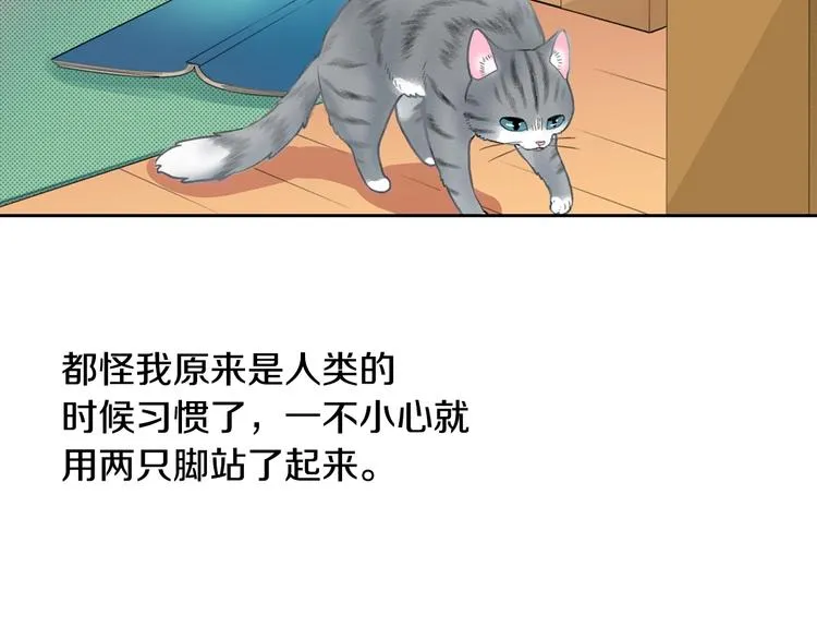 第13话 吸猫体质的大汉 第13页