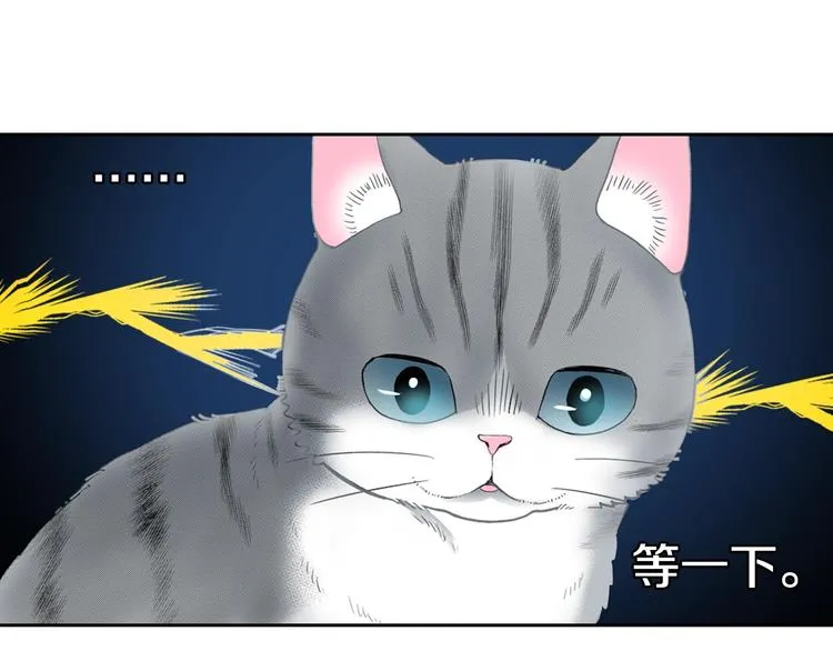 第13话 吸猫体质的大汉 第14页