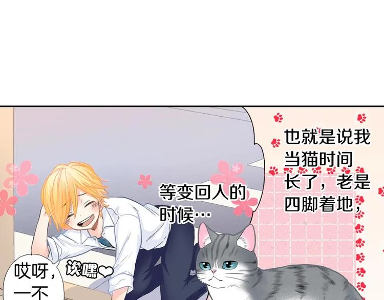 第13话 吸猫体质的大汉 第16页