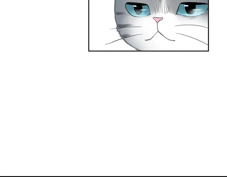 第13话 吸猫体质的大汉 第18页
