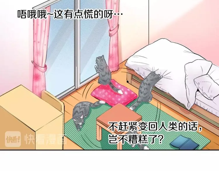 第13话 吸猫体质的大汉 第19页