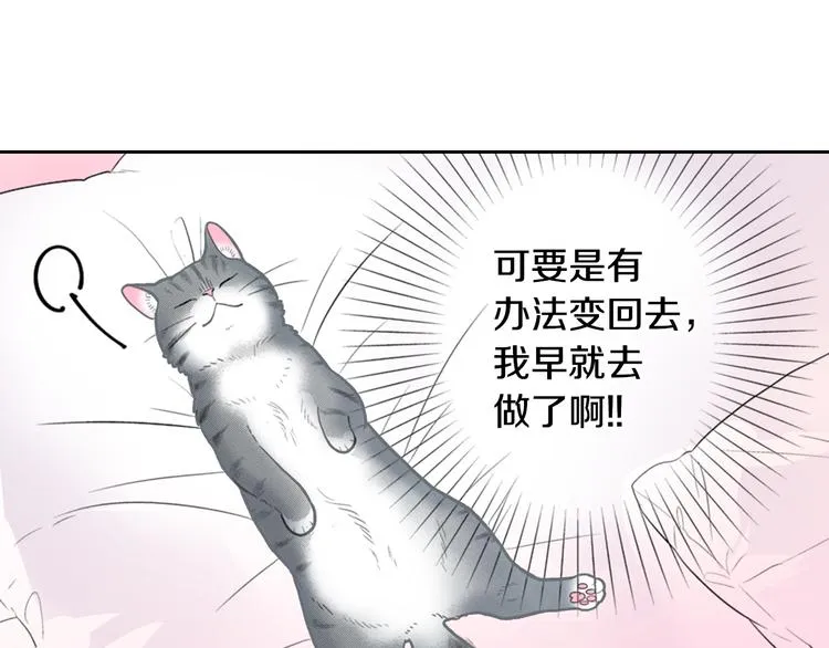 第13话 吸猫体质的大汉 第20页