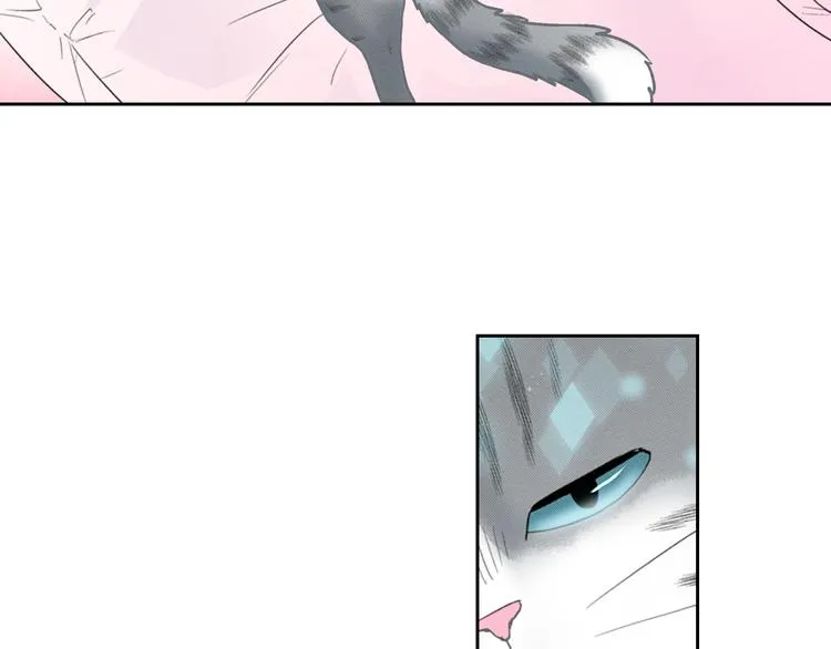 第13话 吸猫体质的大汉 第21页
