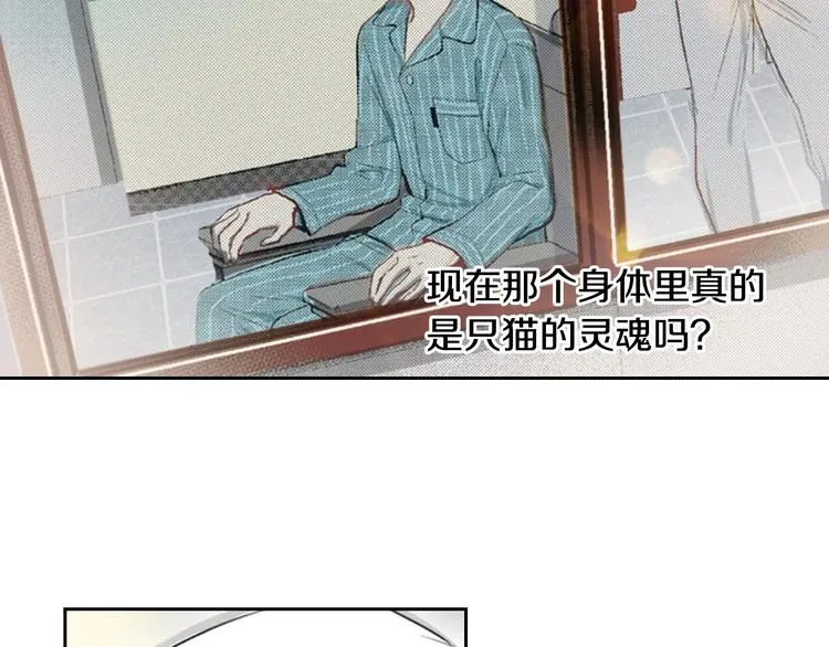 第13话 吸猫体质的大汉 第24页