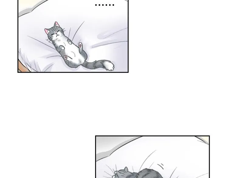第13话 吸猫体质的大汉 第25页