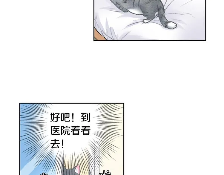 第13话 吸猫体质的大汉 第26页