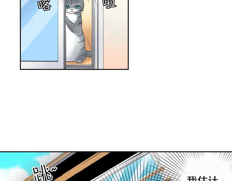 第13话 吸猫体质的大汉 第27页
