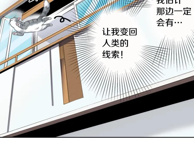 第13话 吸猫体质的大汉 第28页