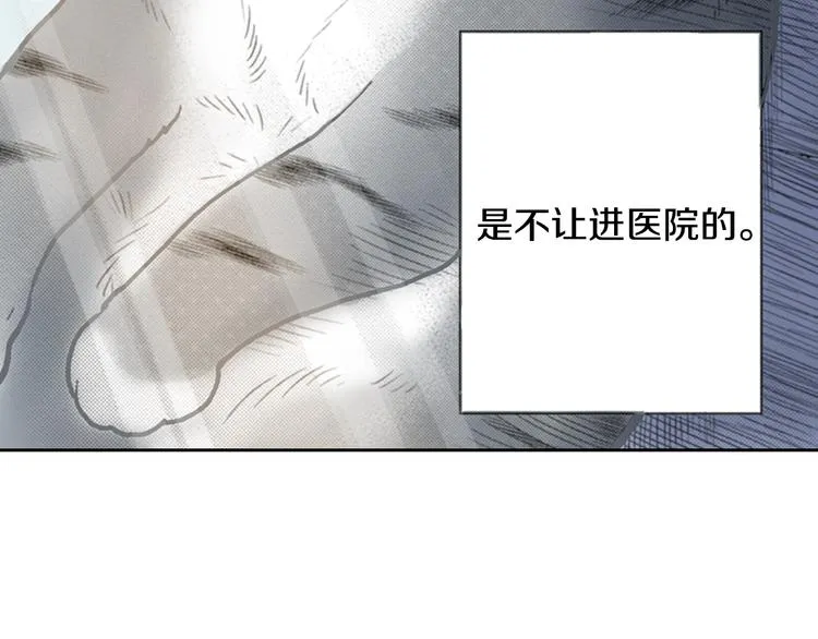 第13话 吸猫体质的大汉 第34页