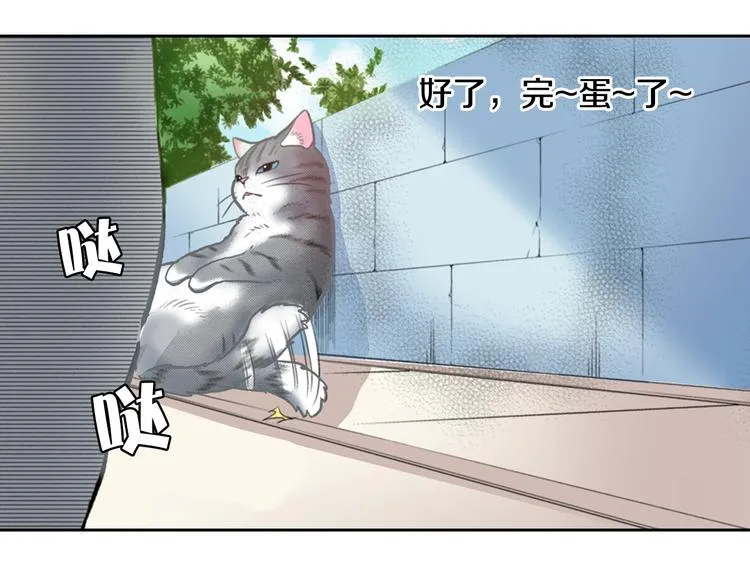 第13话 吸猫体质的大汉 第35页