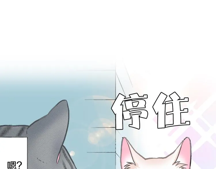 第13话 吸猫体质的大汉 第38页