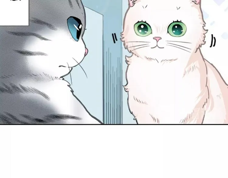 第13话 吸猫体质的大汉 第39页