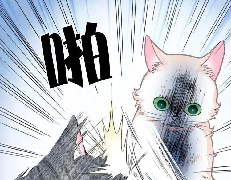 第13话 吸猫体质的大汉 第44页