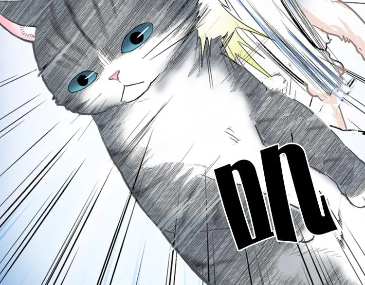 第13话 吸猫体质的大汉 第45页