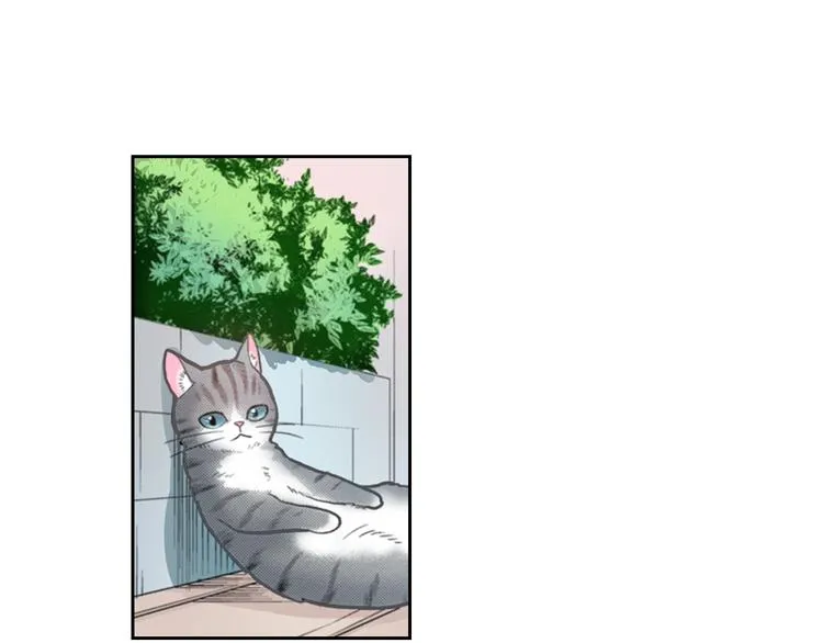 第13话 吸猫体质的大汉 第55页
