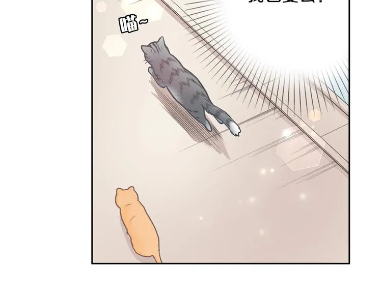 第13话 吸猫体质的大汉 第58页
