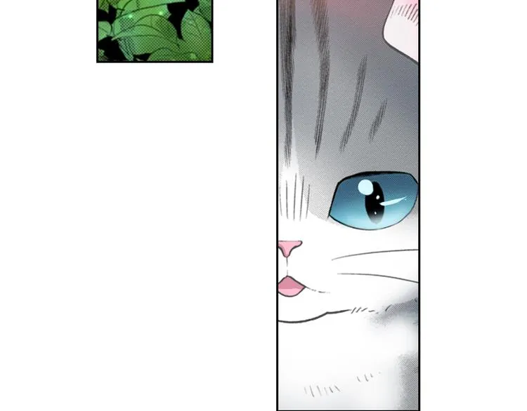 第13话 吸猫体质的大汉 第60页